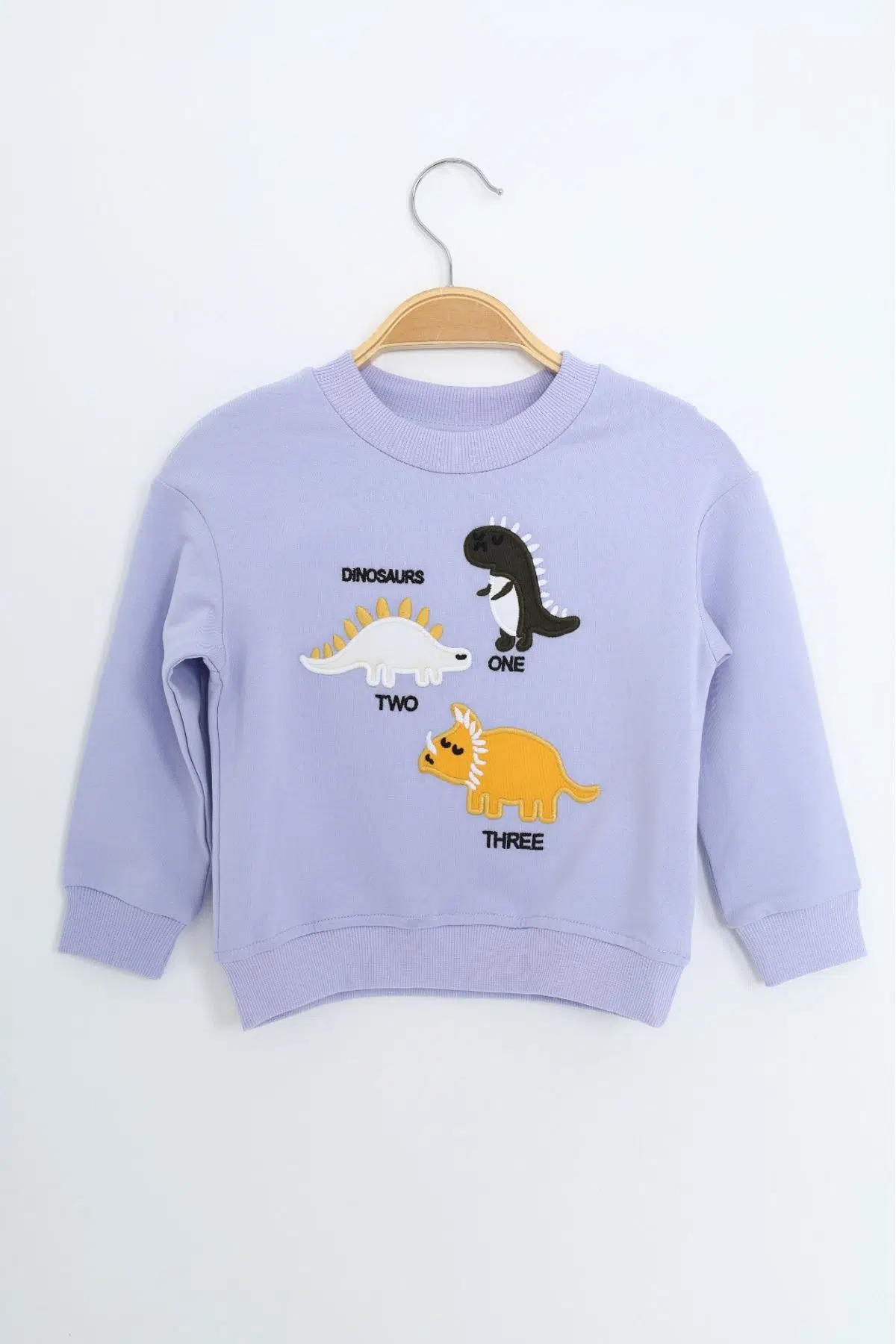Toontoy Erkek Çocuk Relax Fit Bisiklet Yaka Hafif Düşük Omuz Nakışlı Sweatshirt - Mavi